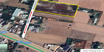 Bán 2 lô đất thổ lúa liền kề đường xe hơi tại Cần Giuộc, Long AN