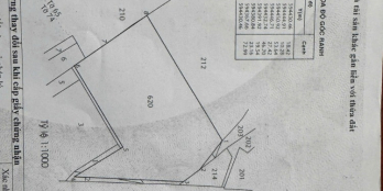 Bán 3527 m2 giá 100 tỷ đất giáo dục mặt tiền đường Trịnh Thị Miếng Hóc Môn