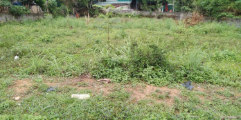 Cơ Hội Sở Hữu Lô Đất Vàng Mặt Tiền Quốc Lộ 6 – Phường Kỳ Sơn, TP. Hòa Bình