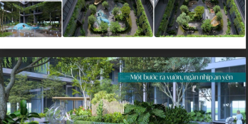 SKY M căn hộ nghỉ dưỡng 5 sao,kinh doanh dòng tiền