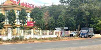 CẦN TIỀN BÁN ĐẤT 2.058m² – GIÁ 210TR – CÓ THỔ CƯ – ĐANG TRỒNG CAO SU NON