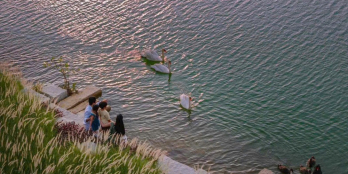 Vỡ nợ bán gấp lô đất đường Nguyễn Hữu Trí, Bến Lức, 1 tỷ 8/lô, sổ riêng