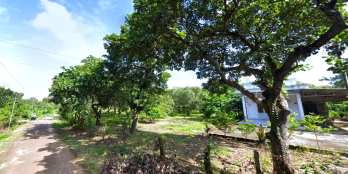 ĐẤT ĐẸP 2.450m² – SỔ RIÊNG, THỔ CƯ – TÂN HƯNG HỚN QUẢN - GIÁ CHỈ 250TR