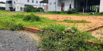 Bán Đất Xuyên Mộc 1000m² Mặt Tiền Nhựa - Giá 16,5 Tỷ - Sổ Hồng, 100m² Thổ Cư!