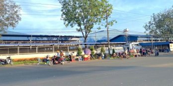 CHỦ KẸT TIỀN CẦN BÁN 5.600M2 ĐANG TRỒNG CAO SU NGAY NHA BÍCH CHƠN THÀNH 320TR