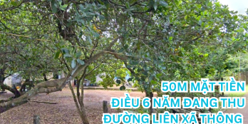 BÁN GẤP 5.000m² – SỔ HỒNG RIÊNG, THỔ CƯ, NGAY TRUNG TÂM – GIÁ CHỈ 210tr