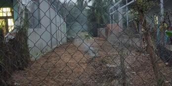 CHÍNH CHỦ CẦN BÁN ĐẤT THỔ CƯ, SỔ RIÊNG, XE HƠI VÔ TẬN NƠI, KHÔNG NGẬP NƯỚC