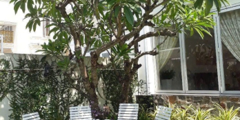 BDS HVL [NC] BIỆT THỰ HOÀNG GIA DĨ AN 10x24M CÓ BẢO VỆ CHỈ 24 TỈ