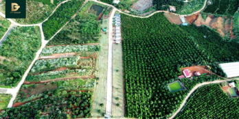 Đất nền săn mây cực đẹp tại xã Nam Ban (Mê Linh), sẵn sổ, sẵn thổ cư