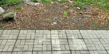 Đất nền sổ riêng thổ cư  phường tân triều