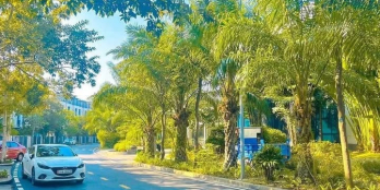 Chính chủ Bán Căn Liền Kề 3,5 Tầng 99m2 Ven Biển tại trung tâm du Lịch Bãi Cháy,