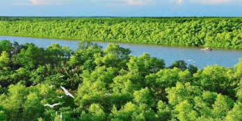 Vinhomes Green Paradise Cần Giờ ESG