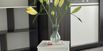 500k ngày, đậm chất riêng tư, 55m2 1PN 1WC, tự do sáng tạo.