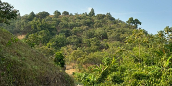 Bán đất tại đường Tỉnh lộ 721, 900 triệu, 60000 m2, pháp lý đầy đủ