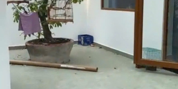 BÁN NHÀ ĐƯỜNG TRẦN THÁI TÔNG, NGANG 9.2 X 13.5, GIÁ 25 TỶ, PHƯỜNG 15, TÂN BÌNH