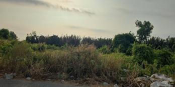 Bán gấp , lô đất mặt tiền đường dẫn cao tốc, DT 6137m2 , Võ Trần Chí ,Tân Nhựt