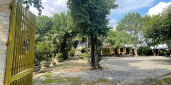 Cần Bán GẤP lô Đất tại Phường Phú Mỹ – TP. HCM cho Người lập tự