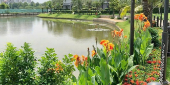 BDS  HVL [NC] Cho thuê nhà phố Citi Bella 2 Cát Lái