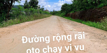 MỞ CỬA NHÌN RA ĐỒI THÔNG – MẢNH ĐẤT NHỎ, GIẤC MƠ LỚN GẦN ĐÀ LẠT - Chỉ 7xxtr