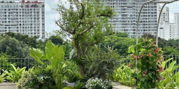 Căn hộ tt avio - gần trung tâm hành chính dĩ an giá từ 2 tỷ/căn 2pn- 1wc 56m2