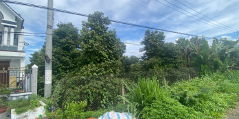 Bán Đất Mặt Tiền Quốc Lộ 57B, Xã Chợ Lách, Tỉnh Vĩnh Long – Diện Tích 7.039m²