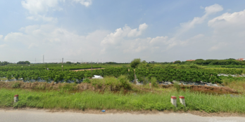 Bán 2ha đất TMDV mặt đường ĐT 379 Văn Giang, Hưng Yên