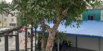 Cho thuê mặt bằng KD dt 400m2 tại Bồ Đề, Long Biên. Ngay đầu cầu Chương Dương