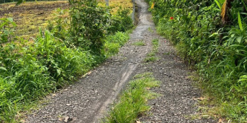 ĐẤT NÔNG NGHIỆP + 10826,8 m2 + LONG KHÁNH. ĐỒNG NAI