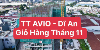 TT AVIO giỏ hàng tháng 11, 2 tỷ 050, 2Pn, 56m2