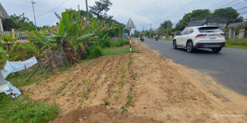 Tìm người thuê đất 10 năm, 20 x 20 mét, mặt tiền đường đi Bình Châu, Vũng Tàu