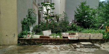 BÁN GẤP đất Ao Ngòi – Thôn Cao Xá – Xã Đức Thượng – Hoài Đức – Hà Nội