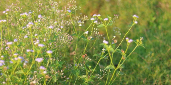 BÁN CĂN NHÀ 3 TẦNG RẺ NHẤT NHÀ SUNCASA VSIP2 Bình Dương Mới Nhất T11/2025