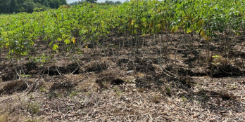 Chính chủ cần bán gấp 2 lô đất siêu đẹp sân bay Long Thành - Đồng Nai