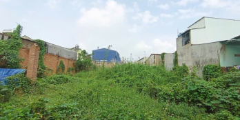 Bán gấp, đất mặt tiền 1250m2, 20 x66m Võ Văn Vân ,Tân Vĩnh Lộc .