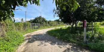 Đất thổ cư Suối Tiên - Diên Khánh ( nay là Suối Hiệp)  - Dt 68m ngang 5,5m