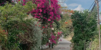  BÁN ĐẤT BIỆT THỰ VIEW BIỂN TRẦN PHÚ 467.3M² – GIÁ 37.5 TỶ – P.5 VŨNG TÀU