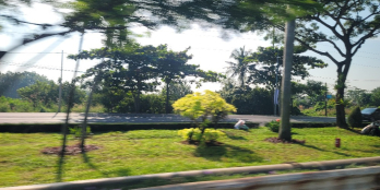 Bán đất 2.928,6m²  – Tân Phước, Phú Mỹ – Sổ riêng – Có công trình tôn giáo sẵn