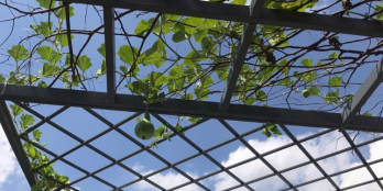 Bán Gấp Căn 1T2L 1 tum KDC An Phước Tỉnh Bình Chiểu, Thủ Đức, TPHCM Gía 5.5 tỷ