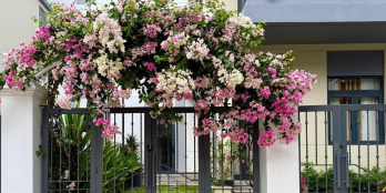 Bán nhà phố ven sông Đồng Nai chỉ từ 50tr/m2 gần sân bay Long Thành