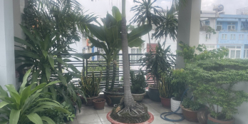 12.5 TỶ 

 NHÀ ĐẸP NGUYỄN XÍ – XE HƠI NGỦ TRONG NHÀ – 4 TẦNG - SỔ HỒNG RIÊNG 