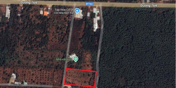 Bán vườn sầu riêng 3 năm  gần sân bay Long Thành tiện làm nhà vườn nghỉ dưỡng