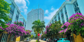 Cho thuê chung cư 2 phòng ngủ tại Thành phố Thanh Hóa