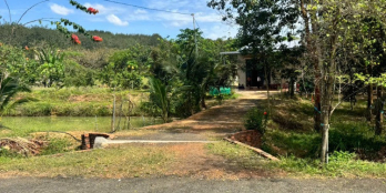 bán vuờn nghỉ dưỡng có cây ăn trái, ao nuôi cá - 720tr viêw chill