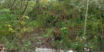 Đất full thổ cư, ngang 10m trung tâm Bình Thủy, Tp. Cần Thơ