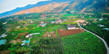 Chính chủ Bán đất tại Đông Thanh, Lâm Hà, 825 triệu, 251 m2 có sẵn 100m3 thổ cư