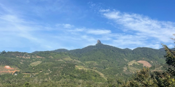 BÁN ĐẤT MẶT TIỀN QUỐC LỘ 20 – SUỐI BAO ĐẸP | Đạ Huoai