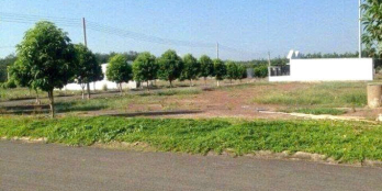 CẦN TIỀN ĐÁO HẠN NH BÁN 2300M2 ĐẤT SHR NGAY KCN ĐANG HOẠT ĐỘNG. GIÁ 160TR