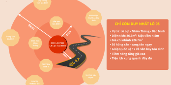 Chính chủ bán đất thôn Lê Lợi - Xã Nhân Thắng - T . Bắc Ninh