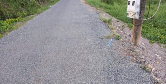 4công đường Tây Tuyến 2,Phước Lập,Tân Phước,Tiền Giang