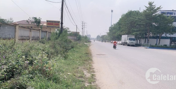 Cần Chuyển Nhượng 2,7ha Đất SXKD Tại khu CN Hoằng Long 